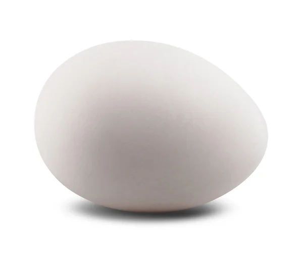 White egg — Stock Photo, Image