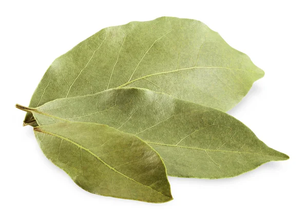 Bay leaves — Stock Photo, Image