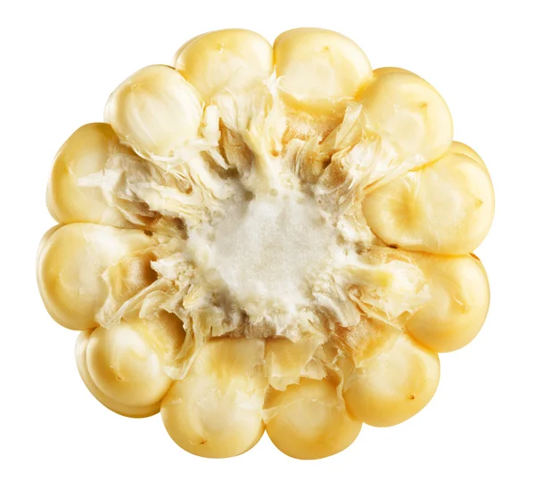 Corn isolated — Stock Photo, Image