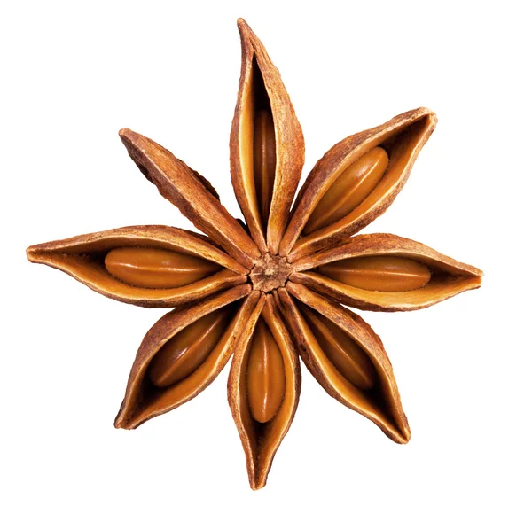 Anise star — Stock Photo, Image