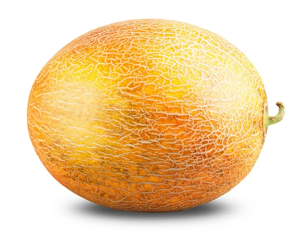 Melón aislado — Foto de Stock