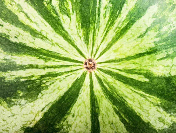 Watermelon rind background Stock Photo by ©tdoes1 2385714