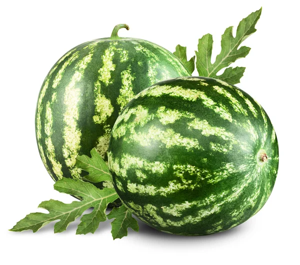 Watermelons — Stock Photo, Image