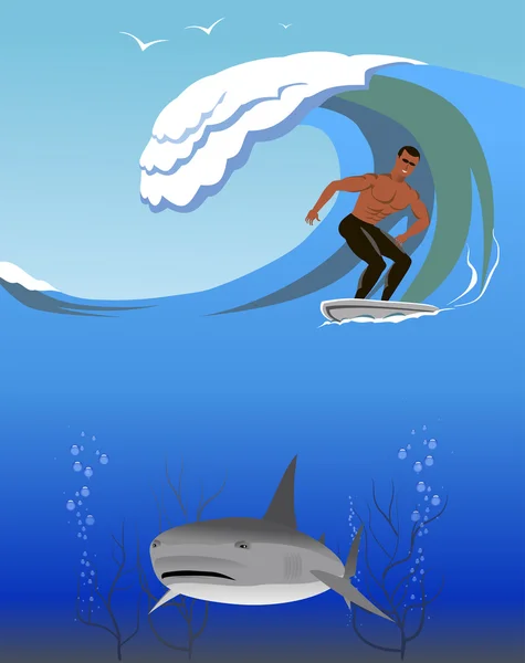 Surfer en shark. — Stockvector