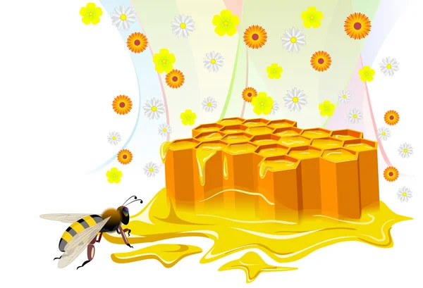 Bee and honeycomb with floral honey. — Stock Vector