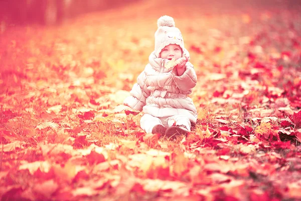 Portrait of a baby with autumn — Stock Photo, Image