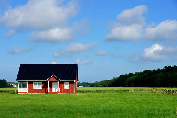 Huset och området — Stockfoto