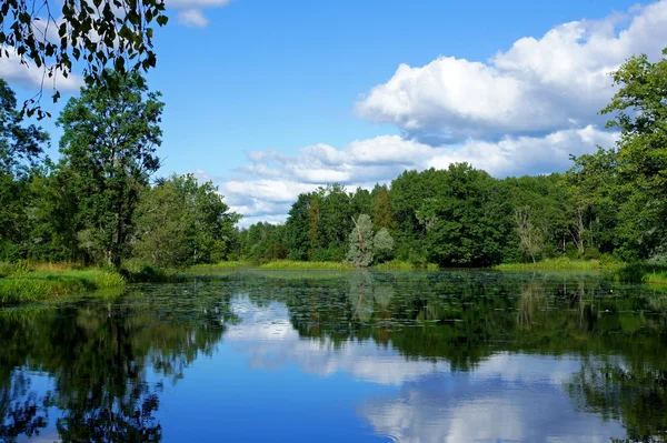 Paesaggio con lago — Foto Stock