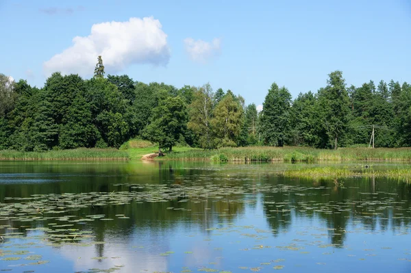 Krajina s jezerem — Stock fotografie