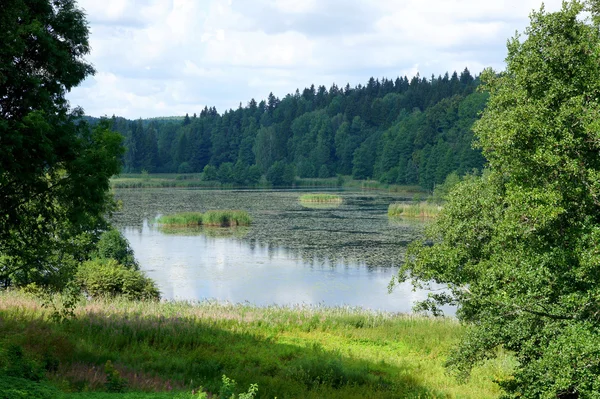 Alter Teich — Stockfoto