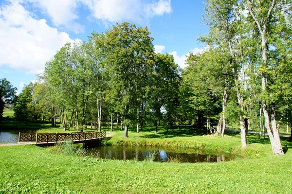 Bridge and pond — Stock Photo, Image