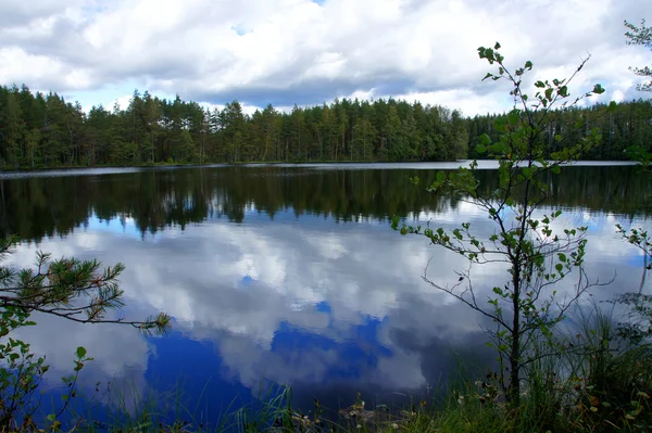 Paisagem com lago — Fotografia de Stock