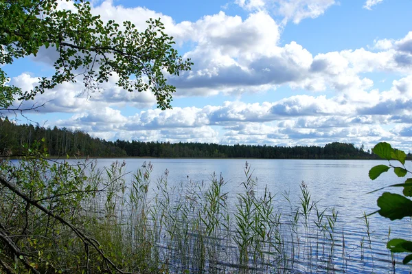Krajina s jezerem — Stock fotografie