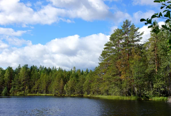 Landscape with lake — Stock Photo, Image