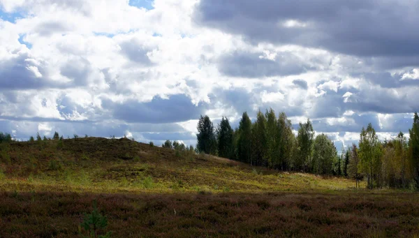 Paisaje — Foto de Stock