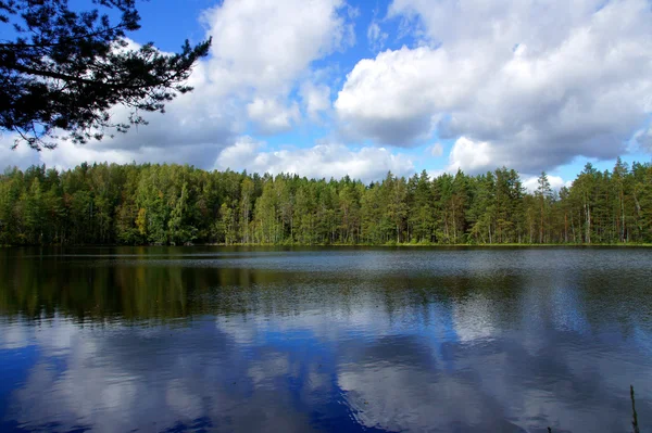 Paisagem com lago — Fotografia de Stock