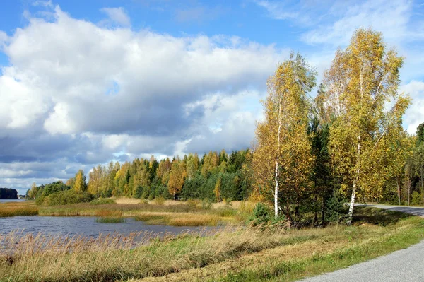 Paesaggio d'autunno — Foto Stock