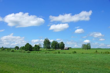 manzara