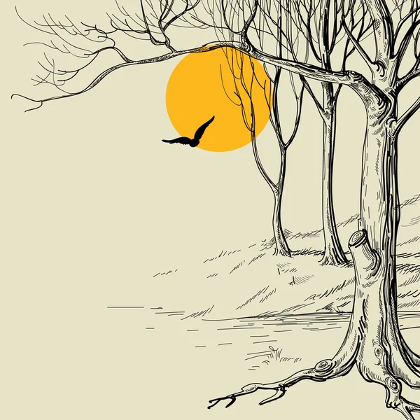 Moon in the forest sketch — Stock Illustration Moon in the forest sketch Royalty Free Stock Illustrations