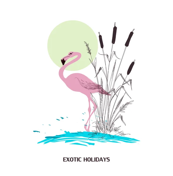 Exotic holidays poster, water, flamingo and cattail — Stock Vector