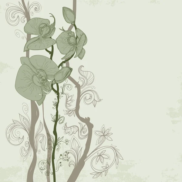 Vintage orchid wenskaart — Stockvector