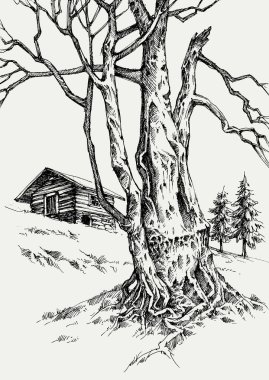 Dağdaki ahşap kulübe, kışın eski ağaç gövdesi. El çizimi manzara