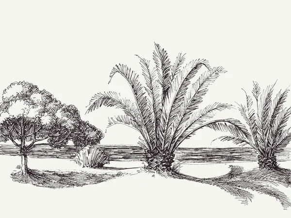 Spiaggia Palme Sabbia Sulla Riva Del Mare Disegno Mano — Vettoriale Stock