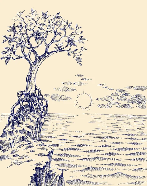 日の出の海の景色 岩の多い海岸線に生えている木の絵 — ストックベクタ