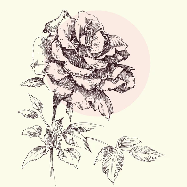 Carte Vœux Rose Simple Dessinée Main Dans Style Rétro — Image vectorielle