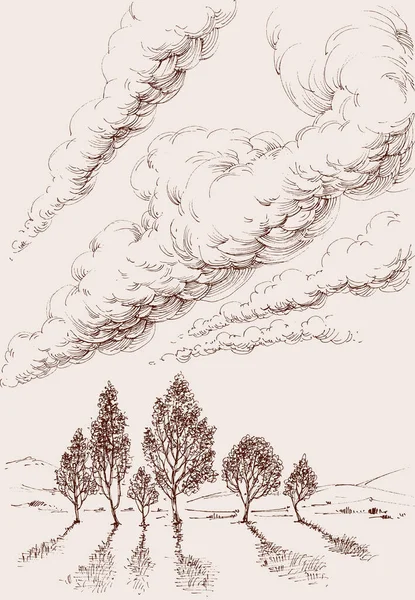 Bulutlu Yüksek Gökyüzünün Altındaki Ağaçların Manzarası — Stok Vektör
