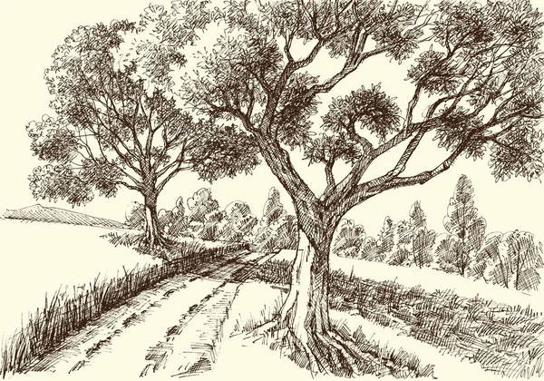 Sentier Sous Les Arbres Dessin Main Fond Nature Artistique — Image vectorielle