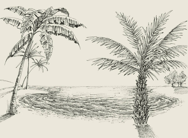 Palm trees on the beach drawing. Sea shore background
