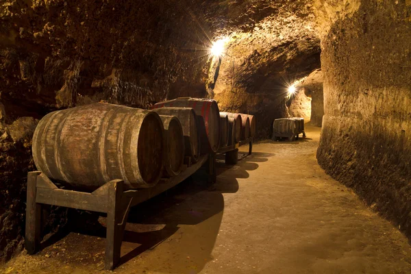 Wine Cellar — Stock Photo, Image