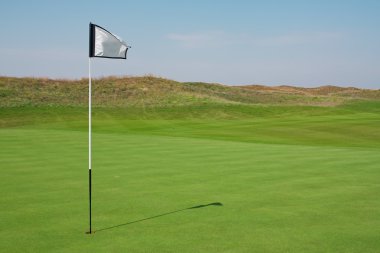 pelota de golf en un curso verde y el agujero