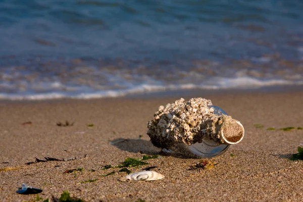 Régi üveg a strandon — Stock Fotó