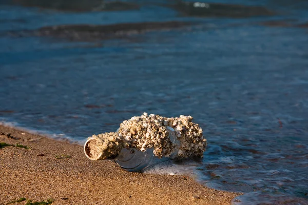 Régi üveg a strandon — Stock Fotó