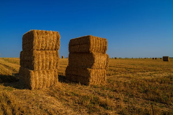 Heuballen — Stockfoto