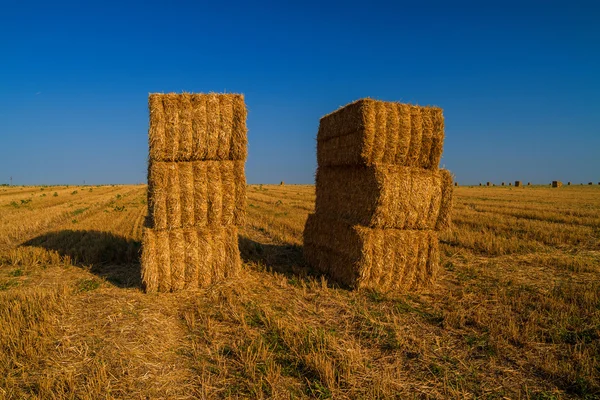 Balle di fieno — Foto Stock