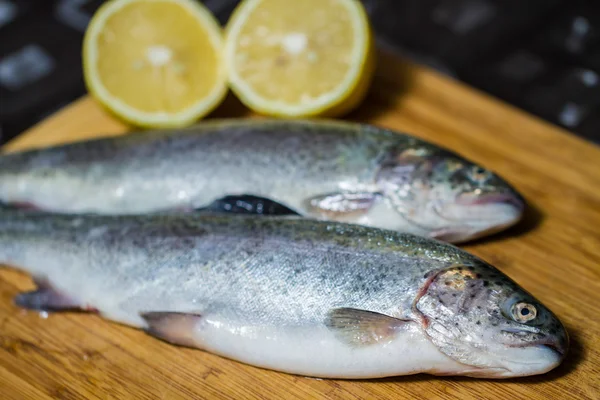 Forel vissen — Stockfoto