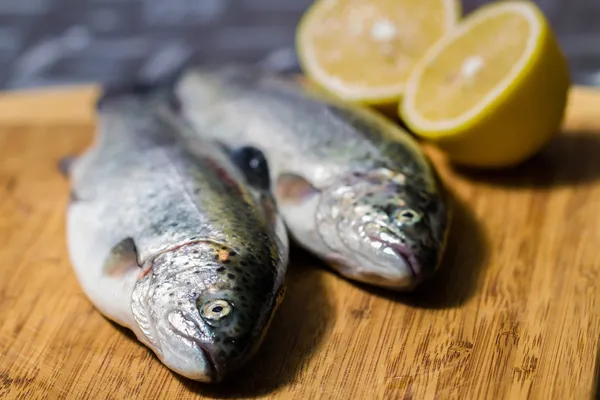 Forel vissen — Stockfoto