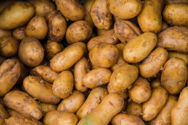 Çiğ patates Pazar