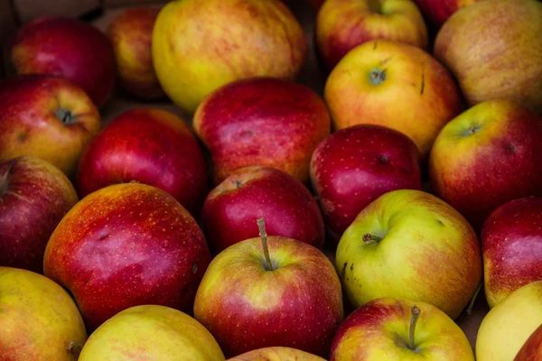 Jablka ve stánku v tržnici — Stock fotografie