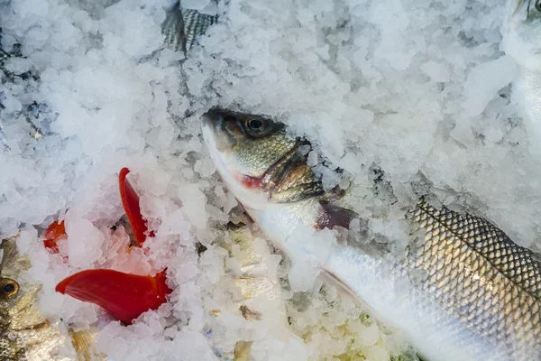 Raw fish on fish market near restaurant — Stock Photo, Image