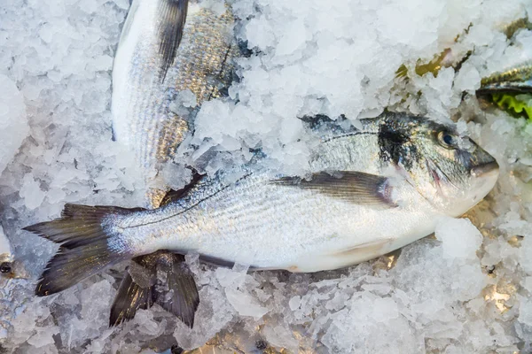 Raw fish on fish market near restaurant — Stock Photo, Image