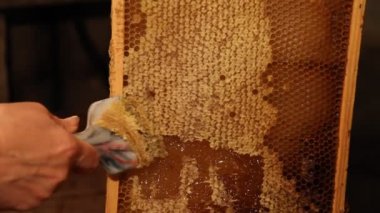 arıcı sarmalamadan petek