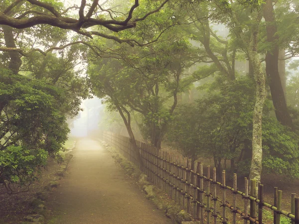 Misty pathway — Stock Photo, Image