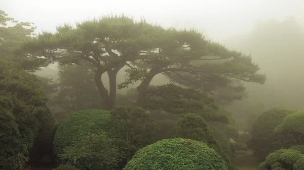 Japanese park — Stock Photo, Image