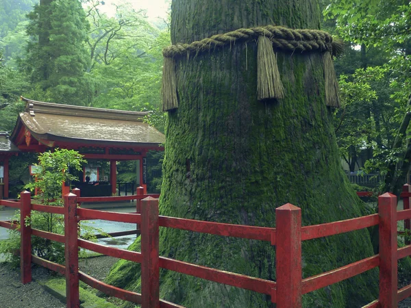 Japanse tempel — Stockfoto