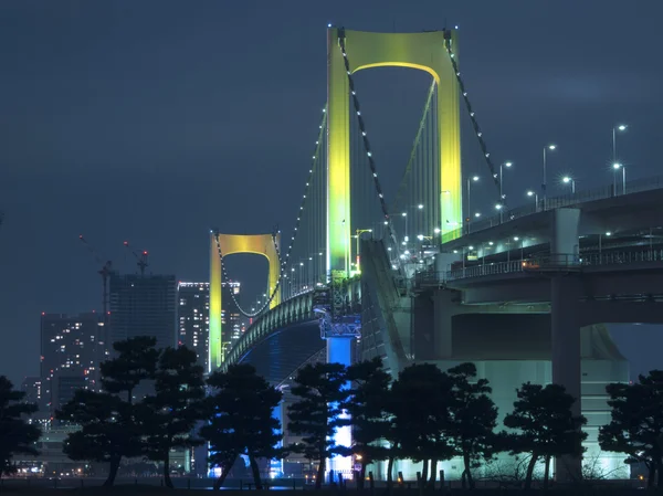 De brug van de regenboog van Tokyo — Stockfoto