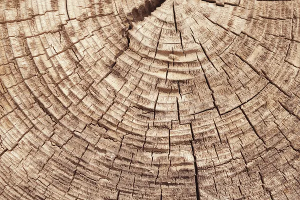 Textura de madera agrietada — Foto de Stock